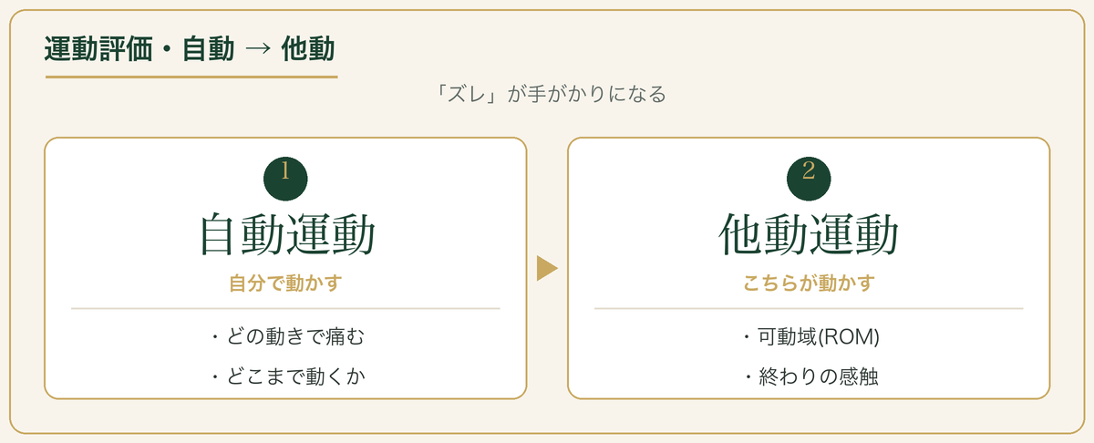 運動評価：自動運動→他動運動の順で見る