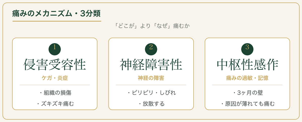 痛みのメカニズム3分類：侵害受容性・神経障害性・中枢性感作