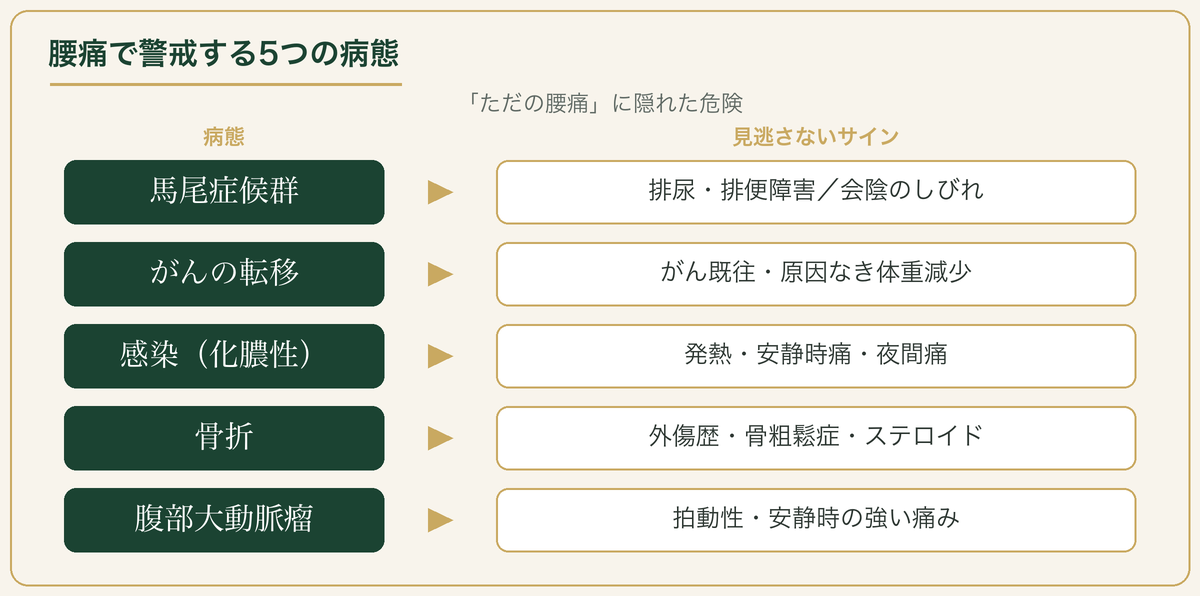 腰痛で警戒する5つの病態と見逃さないサイン：馬尾症候群・がん転移・感染・骨折・大動脈瘤