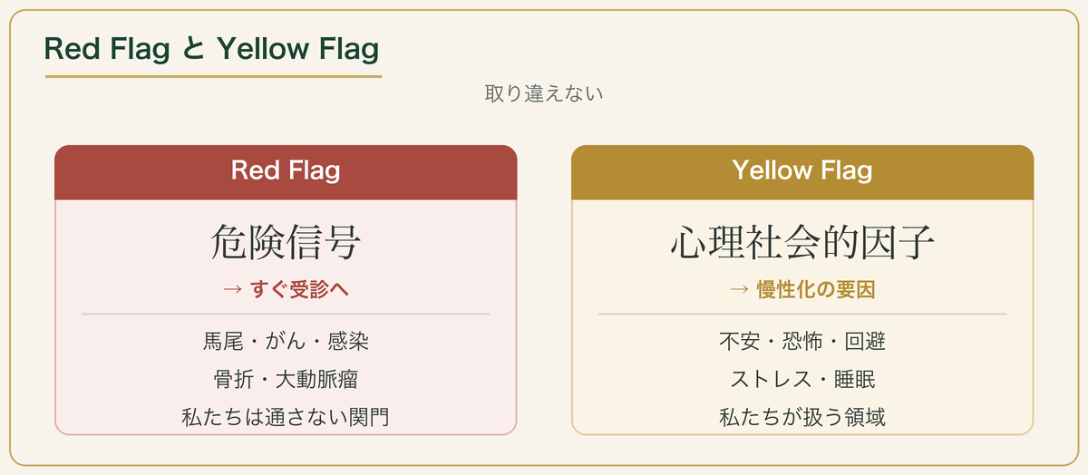 Red FlagとYellow Flagの違い：Red=危険信号で受診へ、Yellow=心理社会的因子で我々が扱う領域