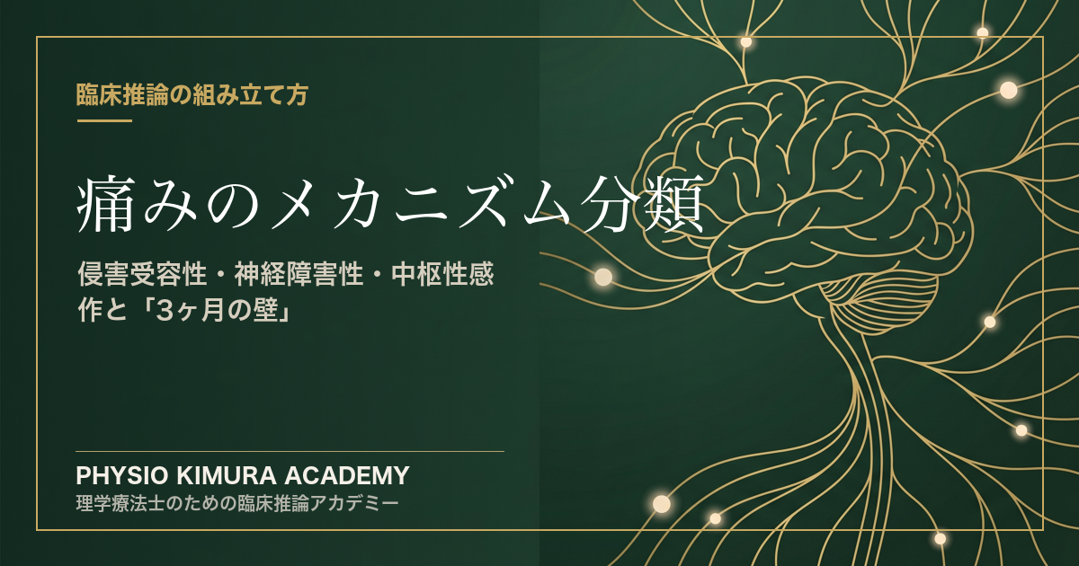 痛みのメカニズム分類 — 侵害受容性・神経障害性・中枢性感作と「3ヶ月の壁」